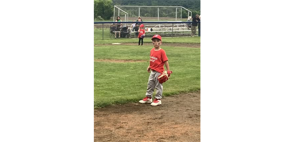 Fan Picture Highlight