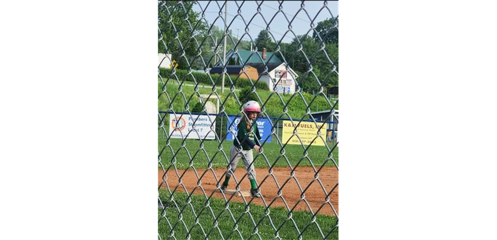 Fan Picture Highlight